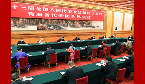習近平參加青海代表團審議